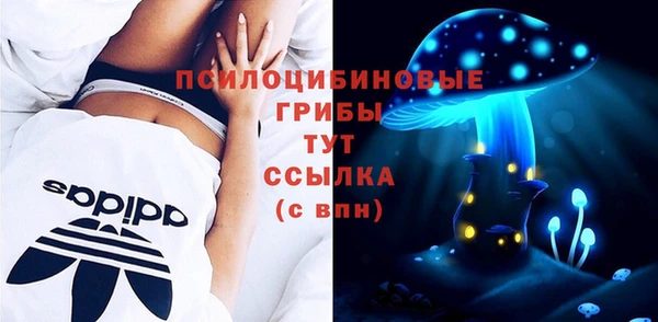 ГАЛЛЮЦИНОГЕННЫЕ ГРИБЫ Алзамай