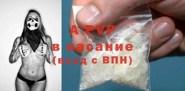 индика Саяногорск