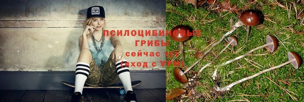 ГАЛЛЮЦИНОГЕННЫЕ ГРИБЫ Алзамай
