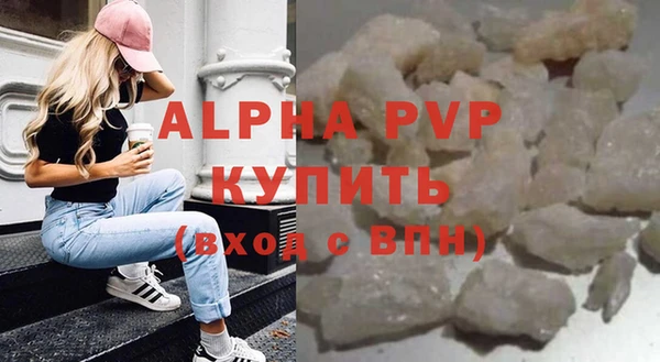 индика Саяногорск